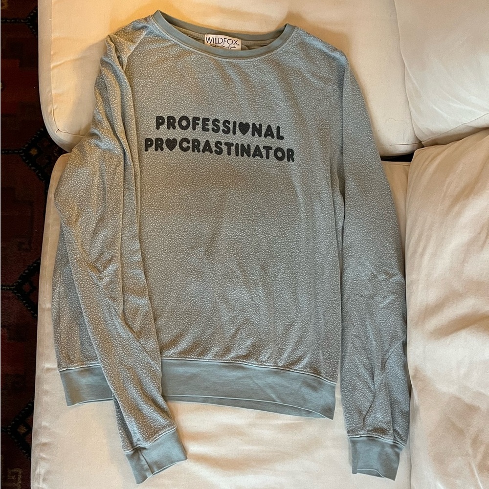 Wildfox sweatshirt | blue/green | Size: medium | “Professional Procrastinator”